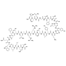 Glucagon (1-29)