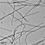 α-Synuclein(G51D) Pre-formed Fibrils (PFFs)