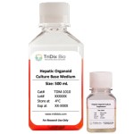 Hepatic Spheroid Culture Kit
