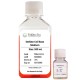 Stellate Cell Growth Medium Kit