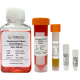Hepatocyte Culture Medium Kit
