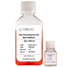 Non-Parenchymal Cell Culture Medium Kit