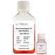 Non-Parenchymal Cell Culture Medium Kit