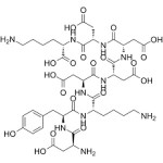 Flag Peptide