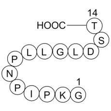 V5 Epitope Tag