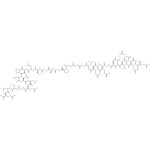 C-peptide(57-87), human