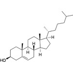 Dermcidin, DCD-1L